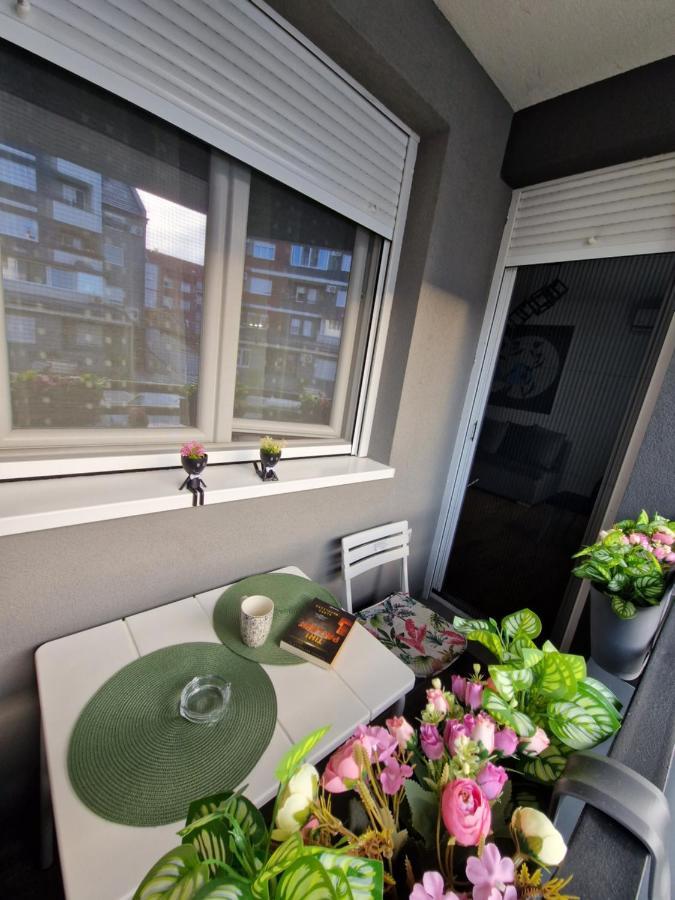 Apartman Astra Сремська Митровиця Екстер'єр фото